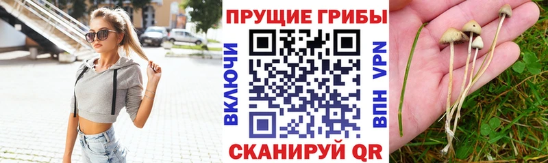 Галлюциногенные грибы ЛСД  даркнет сайт  Воркута 